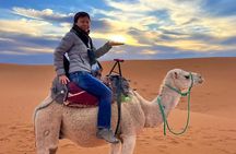 10Day Luxury From Casablanca to marrakech by Fes and Merzouga