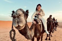 10Day Luxury From Casablanca to marrakech by Fes and Merzouga