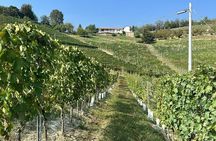 Wine Tour and tasting in the Monferrato - Premium