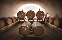 Wine Tour and tasting in the Monferrato - Premium