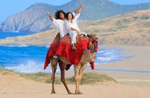 Beach CAN-AM SXS X3 & Camel Ride in Cabo by Cactus Tours Park