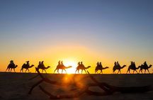 Combo 4X4 Automatic ATV & Camel Ride in Cabo by Cactus Tours Park