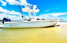 Private 2 Hour Dolphin & Eco Tour Marco Island, FL