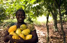Boti Falls, Umbrella Rock, Aburi Gardens & Cocoa Farm Day Tour