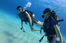 Course for Padi OW in Red Sea and Sinai