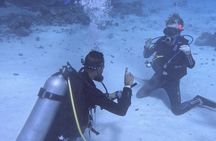 Course for Padi OW in Red Sea and Sinai