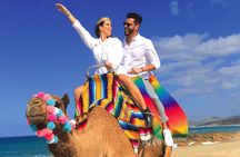 Combo 4X4 Automatic ATV & Camel Ride in Cabo by Cactus Tours Park