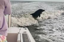  Private 4 HR Eco Tour, Shelling and Fishing, Marco Island FL