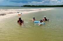  Private 4 HR Eco Tour, Shelling and Fishing, Marco Island FL