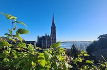 Private tour of, Blarney Castle, Cork City and Kinsale