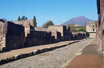 Naples to Pompeii : Pompeii with transport Guided Tour and skip line