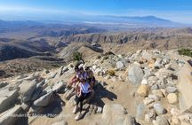 Private Driving and Hiking Tour in Joshua Tree National Park