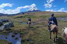 Cotopaxi volcano horseback ride and hike