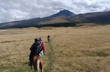 Cotopaxi volcano horseback ride and hike
