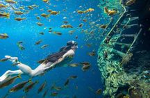 Magical Cenotes Tour to 3 Cenotes at the Riviera Maya