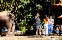 Scooter Adventure with elephants, views and FUN drive yourself