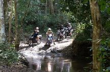 Scooter Adventure with elephants, views and FUN drive yourself