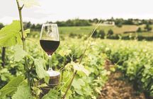 Private Winelands and Stellenbosch Franschhoek Wine Tasting tour