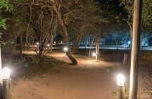 3 Day Dumela Tented Camp at Kruger National Park