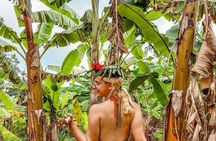 Discover Spice tour experience with Local lunch 