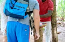 Discover Spice tour experience with Local lunch 