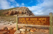 Full Day Private Tour of the Cape Peninsula and Boulders Penguins