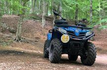 Quad Adventure to Monte Faito from Sorrento 