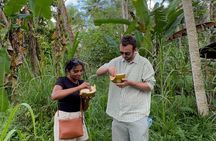 jungle tracking explore Hidden areas in North Ubud