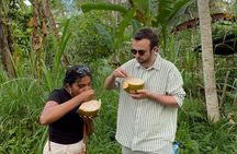 jungle tracking explore Hidden areas in North Ubud