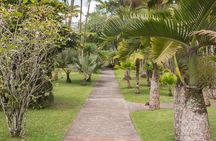 Tropical Island Private Tour of Martinique