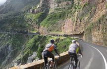 Cape Point , Boulder Beach Penguins and Cape of Good Hope Tour.