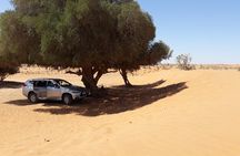 Desert 2 days from Agadir with 4x4 and overnight in a tent