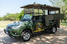 4 Day Kruger Glamping Safari and Panorama Tour