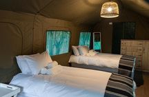 4 Day Kruger Glamping Safari and Panorama Tour