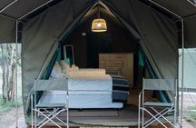 4 Day Kruger Glamping Safari and Panorama Tour