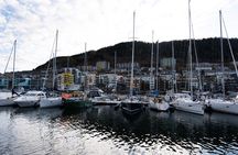 Bergen: Guided Tour by Minibus with Local Guide & Photostops