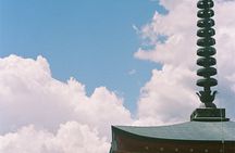 Private Mount Fuji And Hakone Tour with English Guide