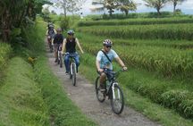 Kintamani Electric Bike