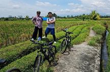 Kintamani Electric Bike