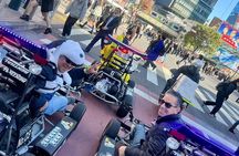 Tokyo Street Private Tour by Go Kart (60 minutes course)