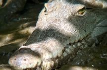 Private tour in Palo Verde with Boat ride 