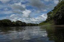 Private tour in Palo Verde with Boat ride 