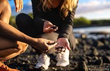 Big Island Highlights: Volcano, Black Sands & Waterfall