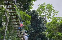 Adventure Trail Tour in the foothills of the National Rainforest