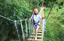 Adventure Trail Tour in the foothills of the National Rainforest