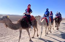 Quad and Camel Ride in the Agafay Desert with Swimming Pool