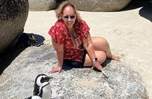 Penguin Watching & Beach Day at Boulder's Beach, Cape Town