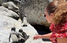 Penguin Watching & Beach Day at Boulder's Beach, Cape Town