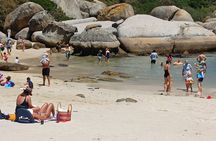 Penguin Watching & Beach Day at Boulder's Beach, Cape Town