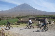 Half Day Mountain Biking Tour Around Misti Volcano
